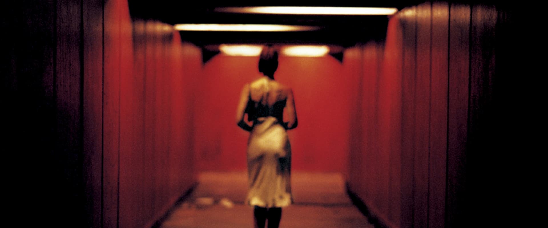 دانلود فیلم Irreversible 2002 (برگشت‌ناپذیر 2002) بدون سانسور با زیرنویس فارسی