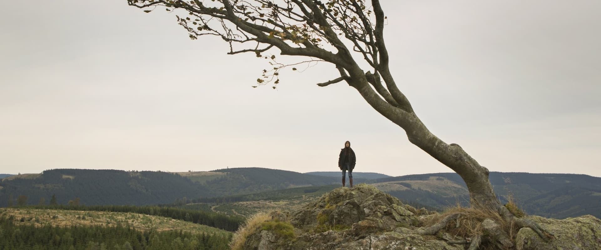 دانلود فیلم Nymphomaniac: Vol. II 2013 (نیمفومانیاک 2013) بدون سانسور با زیرنویس فارسی