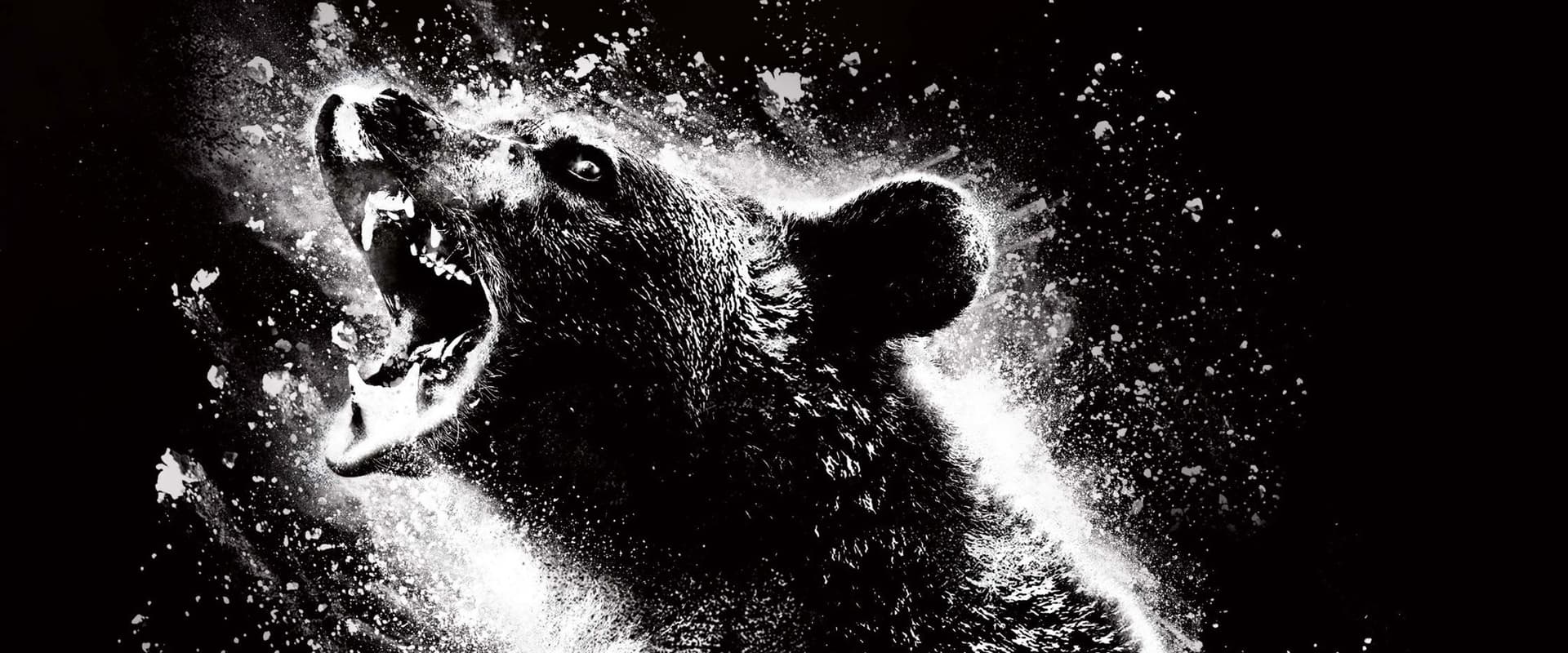 دانلود فیلم Cocaine Bear 2023 (خرس کوکائینی 2023) بدون سانسور با زیرنویس فارسی