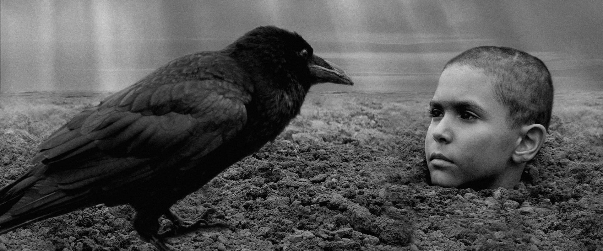 دانلود فیلم The Painted Bird 2019 (پرنده رنگین 2019) بدون سانسور با زیرنویس فارسی