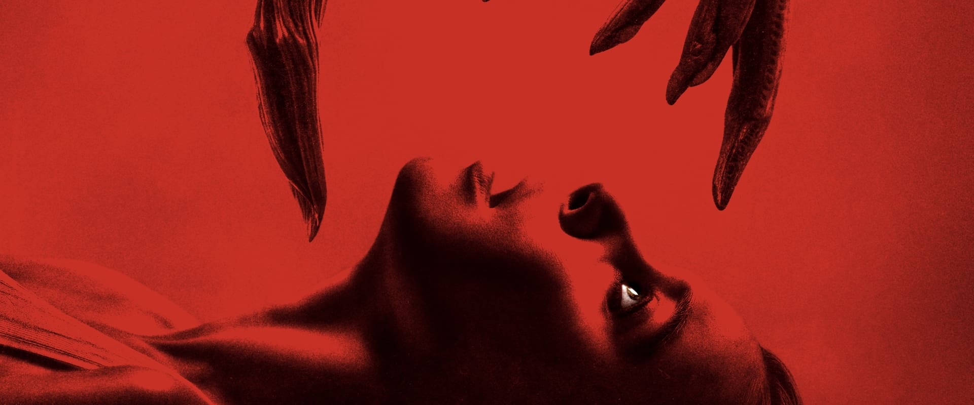 دانلود فیلم Consumed 2024 (اسیر شده 2024) بدون سانسور با زیرنویس فارسی