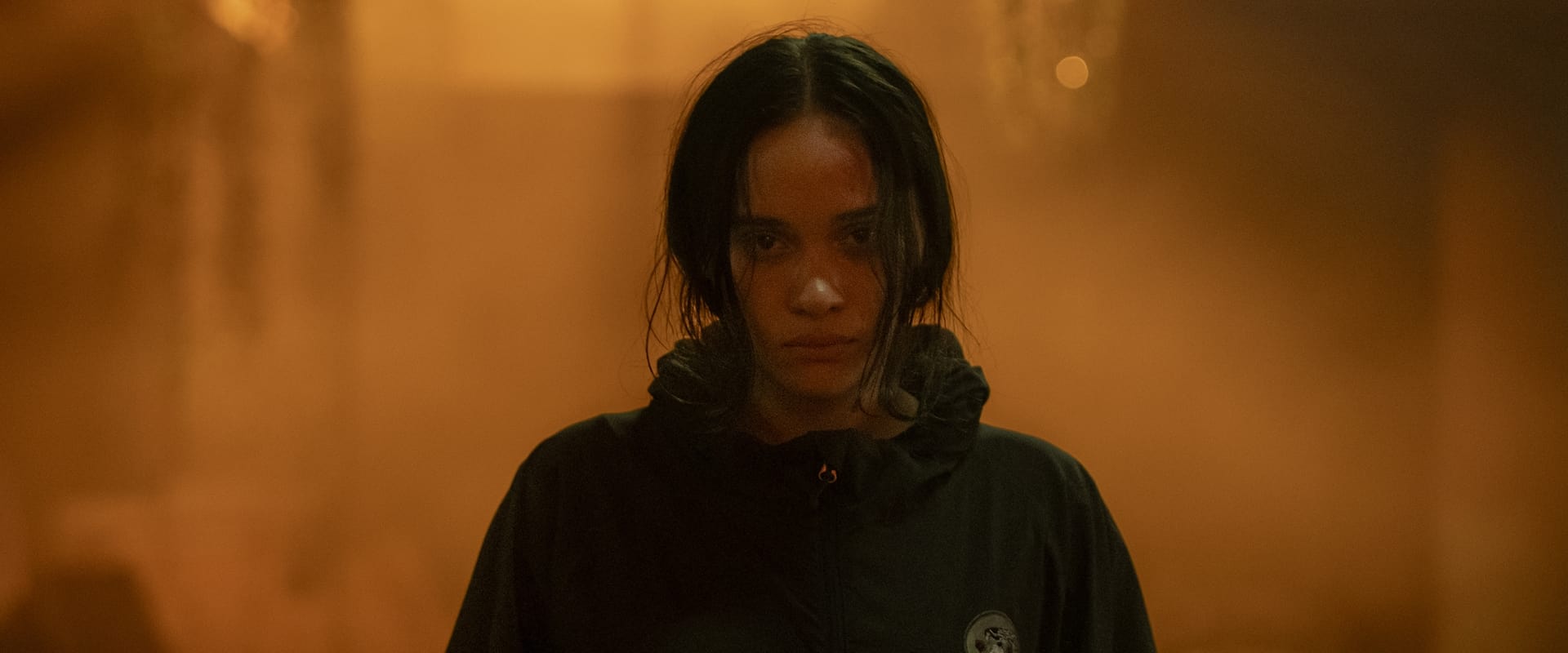 دانلود فیلم The Shadow Strays 2024 (ولگردهای سایه 2024) بدون سانسور با زیرنویس فارسی