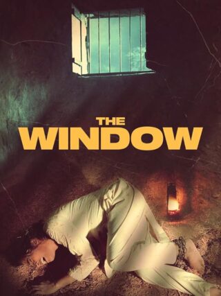 دانلود فیلم The Window 2024 دانلود فیلم The Window 2024