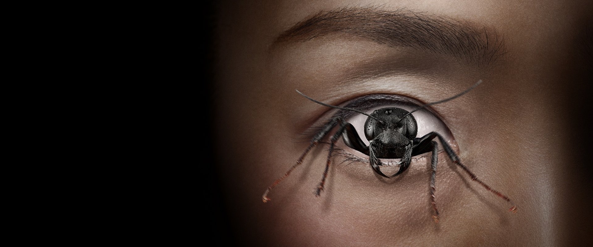 دانلود فیلم Control Freak 2025 (کنترل گر 2025) بدون سانسور با زیرنویس فارسی