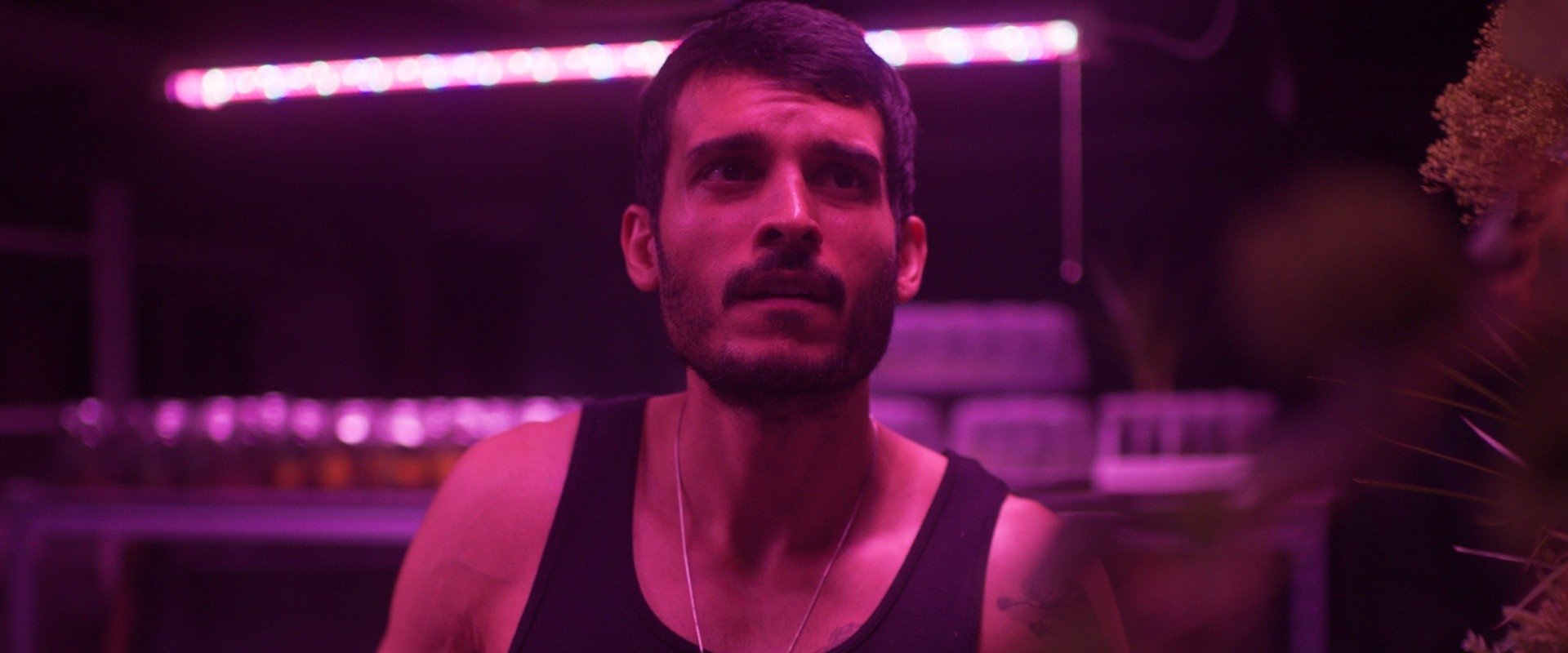 دانلود فیلم Tacoma 2024 (تاکوما 2024) بدون سانسور با زیرنویس فارسی