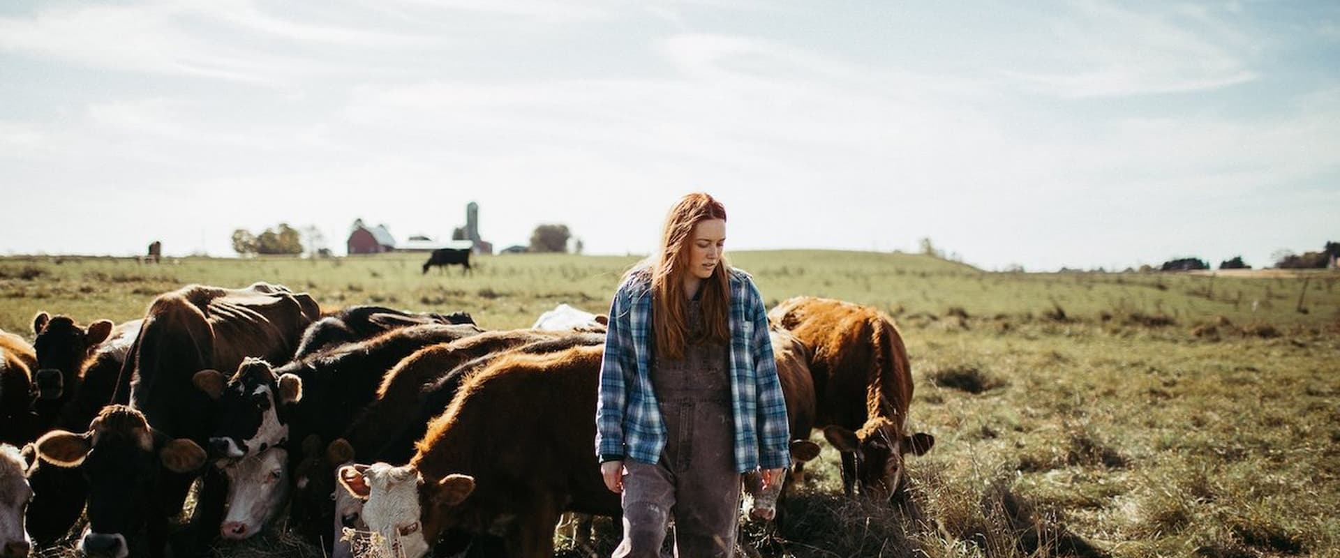 دانلود فیلم Green and Gold 2025 (سبز و طلایی 2025) بدون سانسور با زیرنویس فارسی