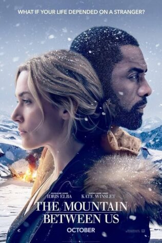 دانلود فیلم The Mountain Between Us 2017