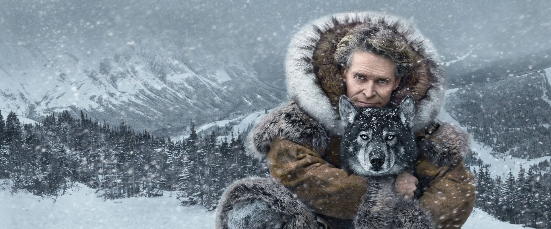 دانلود فیلم Togo 2019 (توگو 2019) بدون سانسور با زیرنویس فارسی