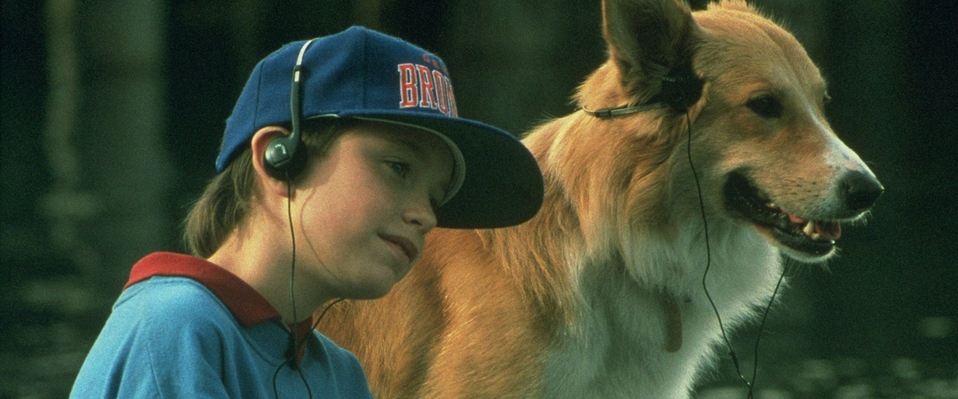 دانلود فیلم Bingo 1991 (بینگو 1991) بدون سانسور با زیرنویس فارسی