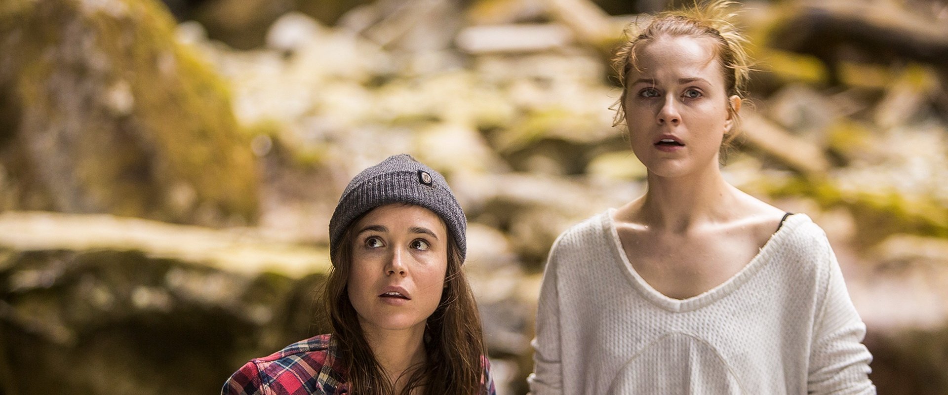 دانلود فیلم Into the Forest 2015 (درون جنگل 2015) بدون سانسور با زیرنویس فارسی