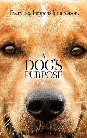 دانلود فیلم A Dog’s Purpose 2017