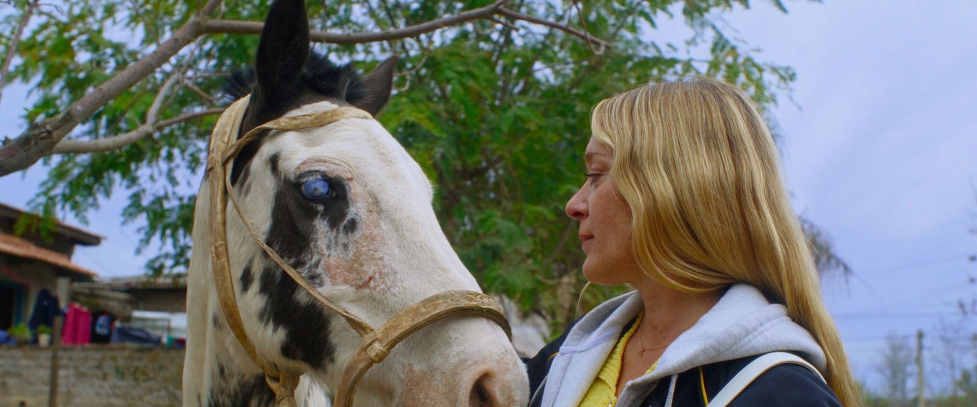 دانلود فیلم Magic Farm 2025 (مزرعه جادویی 2025) بدون سانسور با زیرنویس فارسی