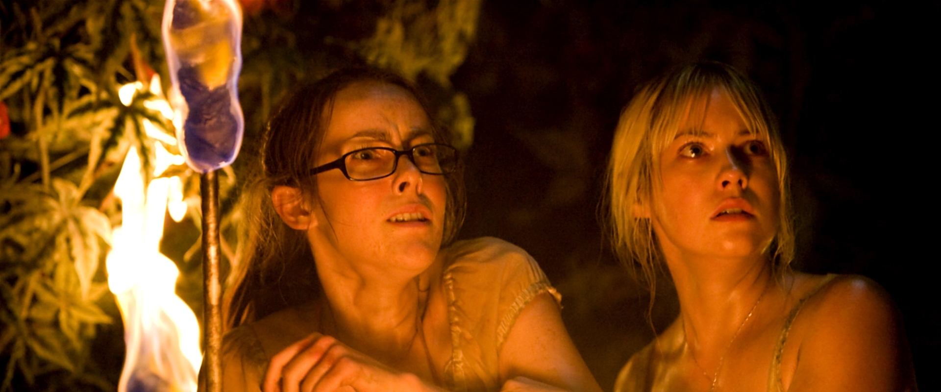 دانلود فیلم The Ruins 2008 (ویرانه‌ها 2008) بدون سانسور با زیرنویس فارسی