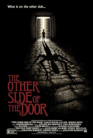 دانلود فیلم The Other Side of the Door 2016 دانلود فیلم The Other Side of the Door 2016