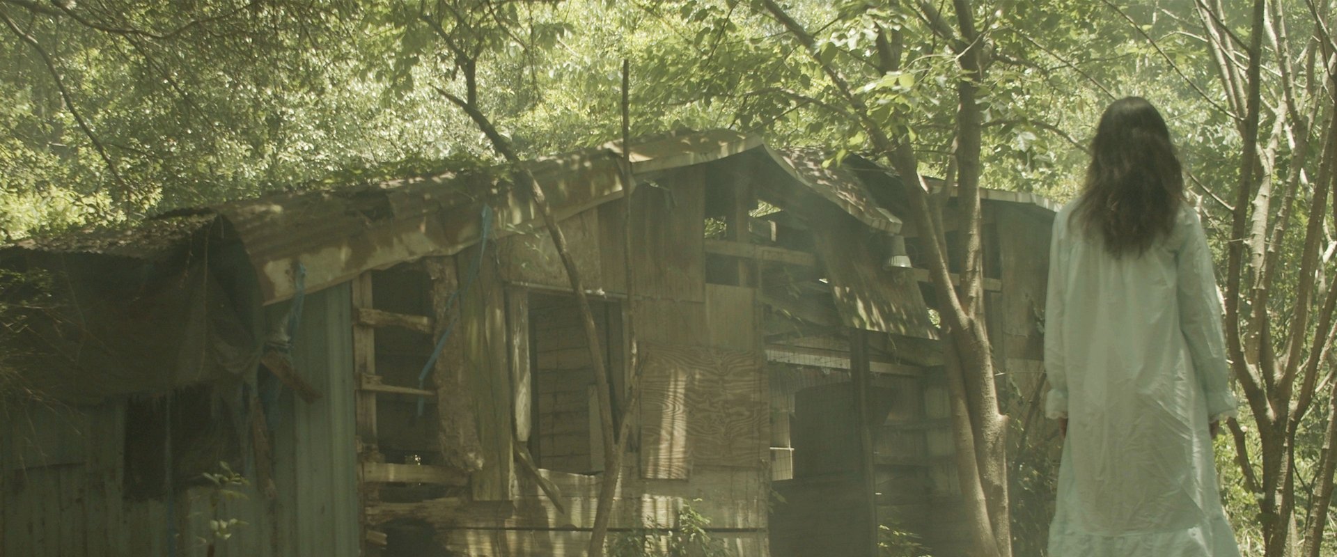 دانلود فیلم Royal Jelly 2021 (ژله سلطنتی 2021) بدون سانسور با زیرنویس فارسی