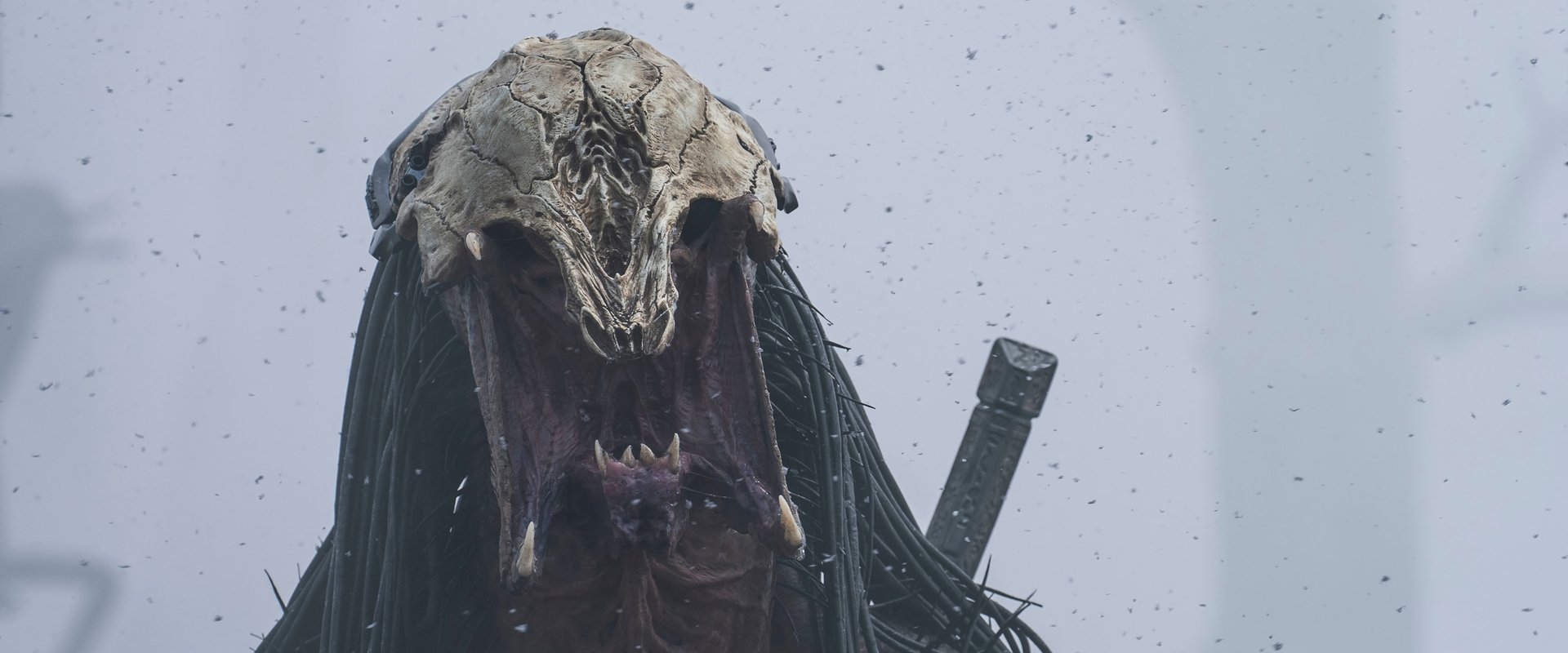 دانلود فیلم Prey 2022 (طعمه  2022) بدون سانسور با زیرنویس فارسی