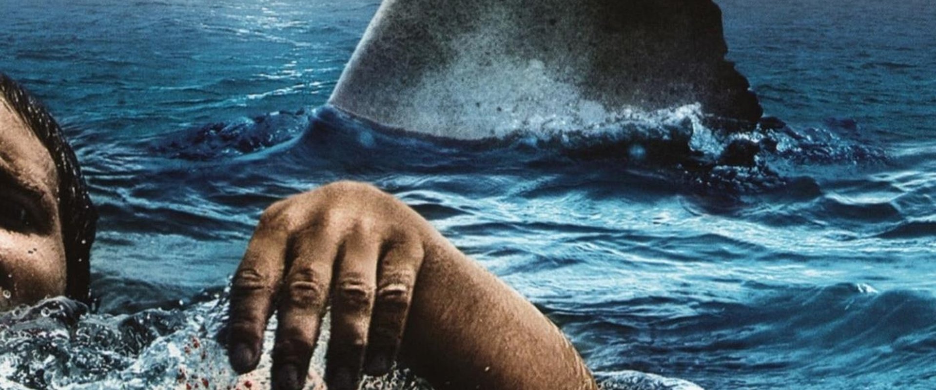 دانلود فیلم The Reef 2010 (صخره 2010) بدون سانسور با زیرنویس فارسی