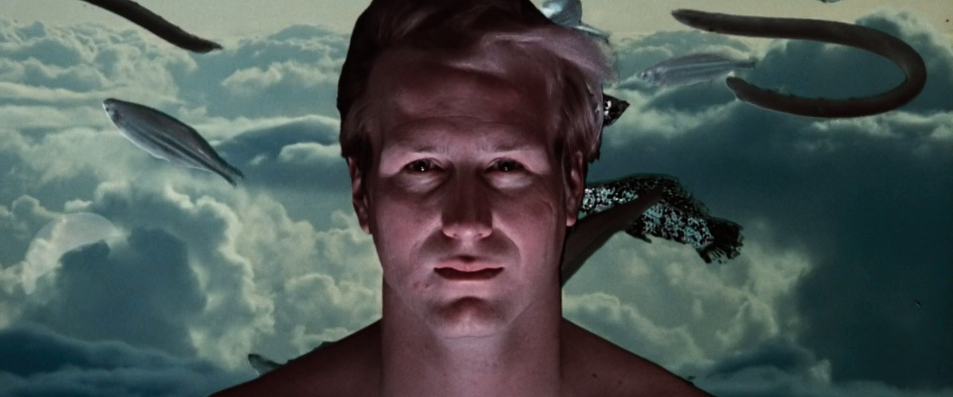 دانلود فیلم Altered States 1980 (احوال دگرگون‌شده 1980) بدون سانسور با زیرنویس فارسی