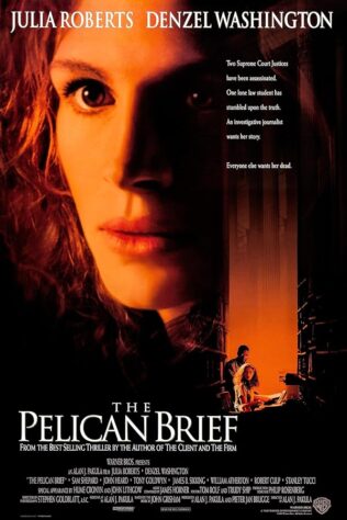 دانلود فیلم The Pelican Brief 1993
