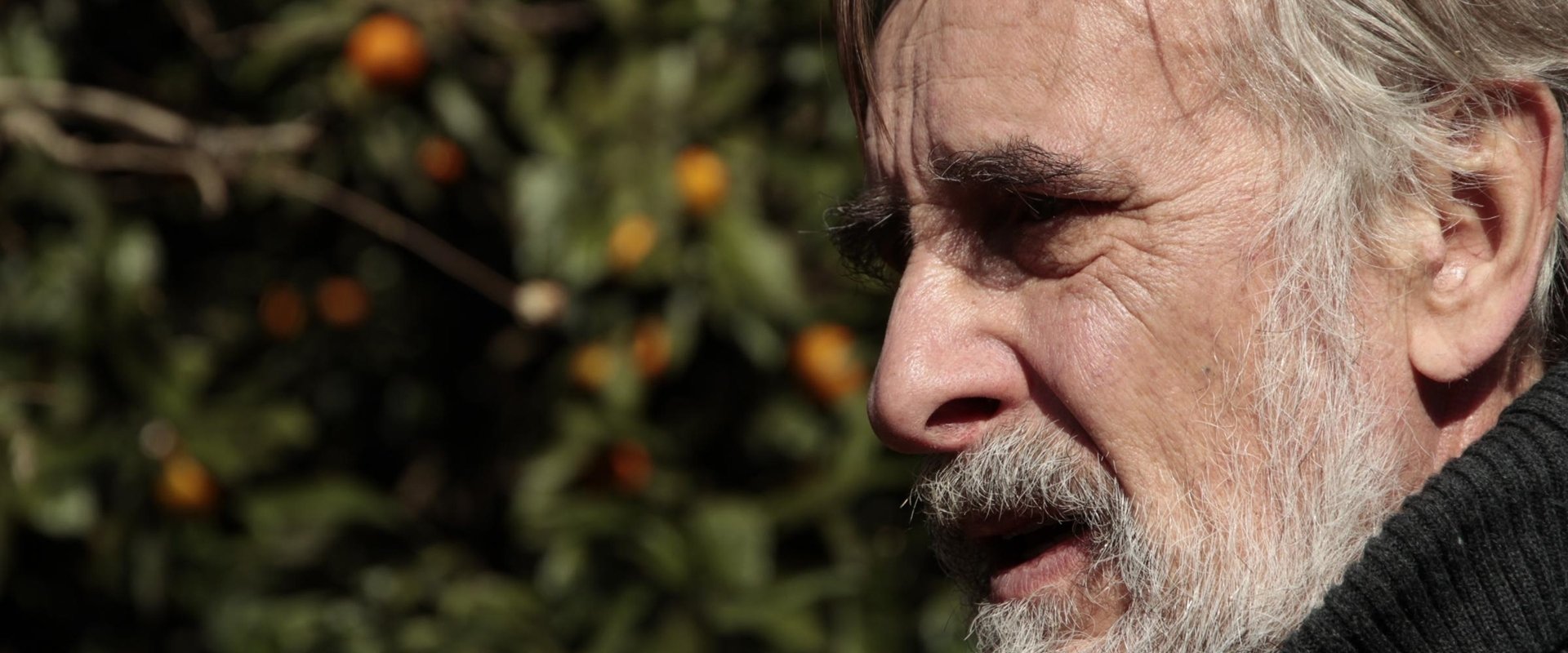 دانلود فیلم Tangerines 2013 (نارنگی‌ها 2013) بدون سانسور با زیرنویس فارسی