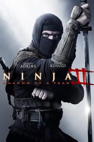 دانلود فیلم Ninja: Shadow of a Tear 2013 (نینجا: سایه اشک 2013) بدون سانسور با زیرنویس فارسی