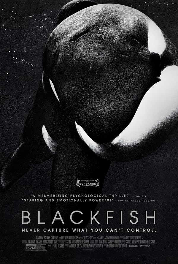 دانلود مستند Blackfish 2013