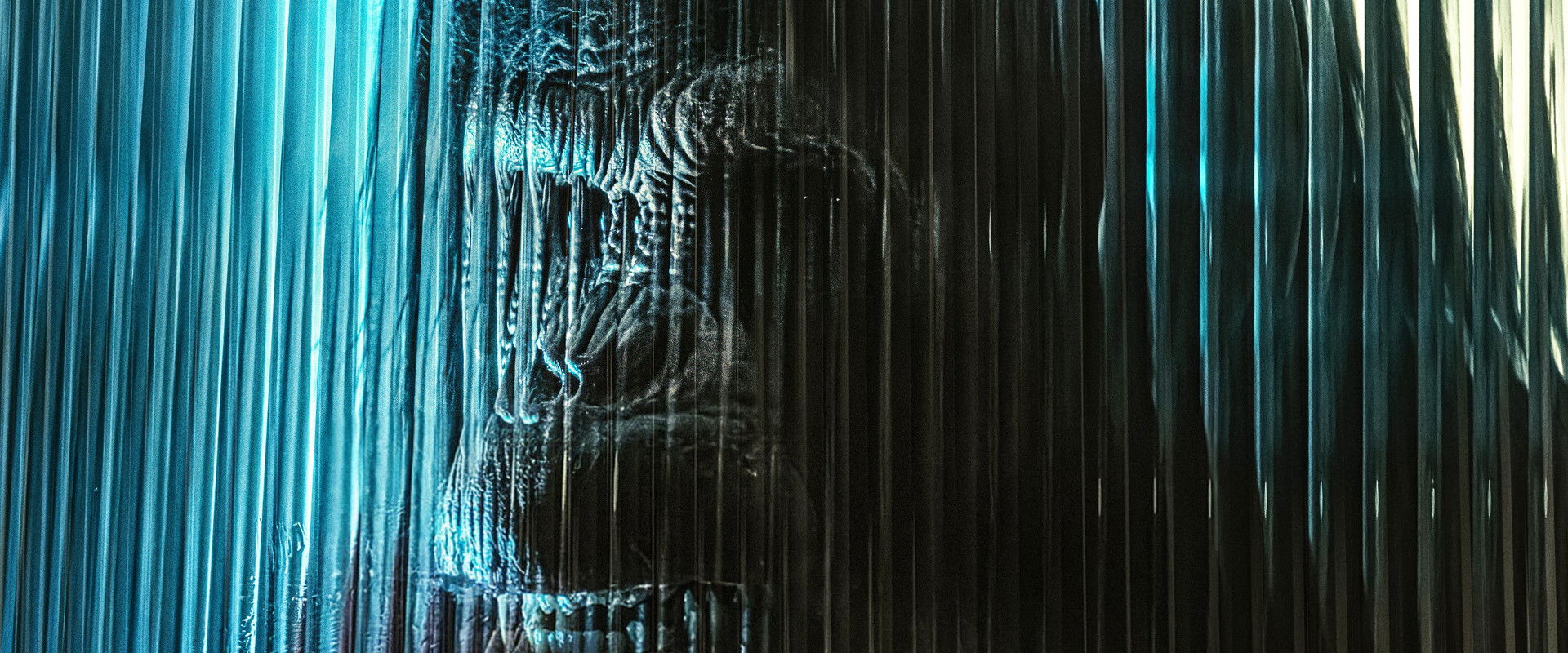 دانلود فیلم Primate 2025 (پریمات  2025) بدون سانسور با زیرنویس فارسی